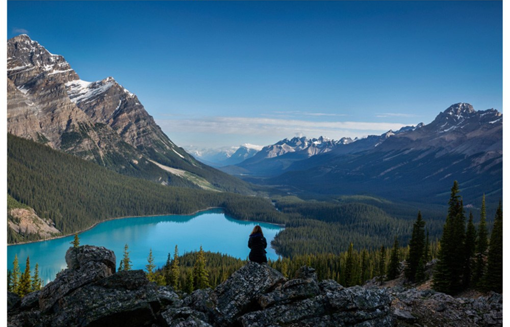 0c8892e7-e05c-48bd-b3c6-0ca3b175a2a1