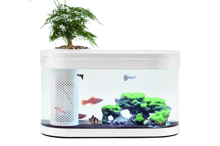 XIAOMI GEOMETRY FISH TANK! Ecco l’ACQUARIO SMART ed&nbsp;ECONOMICO!