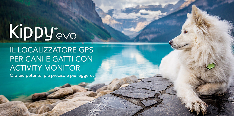 KIPPY EVO: COLLARE GPS SMART per CANI e GATTI!